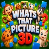 Whats That Picture 3D